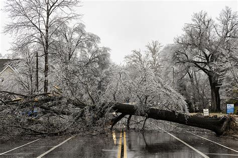 cities in michigan|Home in Michigan split in two by tree during violent storm: Watch .